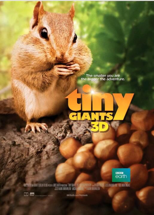 2014 BBC高分紀錄短片《小巨人 3D/Tiny Giants 3D》斯蒂芬·弗雷.國語無字幕