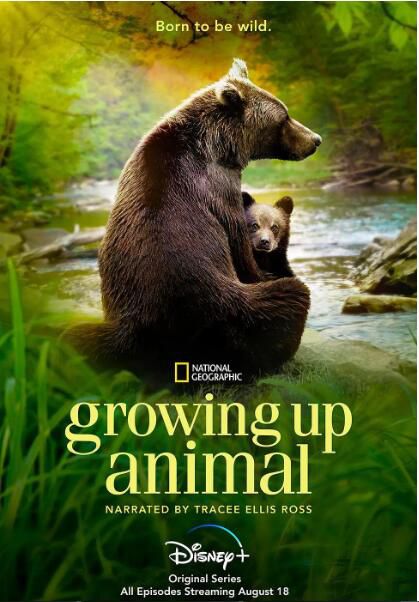 2021自然紀錄片《動物成長》全6集.翠西·艾利斯·羅斯.英語中字