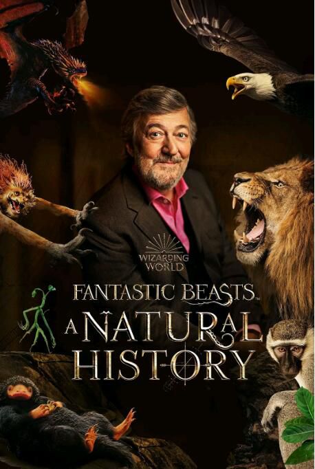 2022英國紀錄片《神奇動物：一段自然歷史》斯蒂芬·弗雷.英語中字