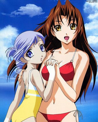 2002日本動畫 美女討伐二人組/天使特警 第1-2季 日語中字 盒裝6碟
