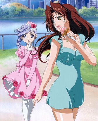 2002日本動畫 美女討伐二人組/天使特警 第1-2季 日語中字 盒裝6碟