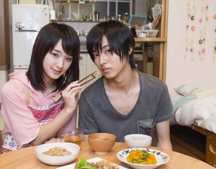 2014日本電影 鄰居同居/鄰居‧同居/LDK 真人版 山崎賢人 日語中字 盒裝1碟