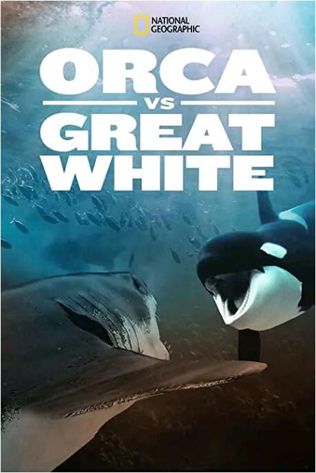 2021美國紀錄片《虎鯨對上大白鯊》英語.中字