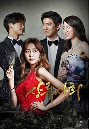 上流社会/财阀之女/真实罗曼史dvd,上流社会/财阀之女/真实罗曼史线上