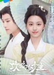 2025大陸劇《攻略冷少主/書中公子世無雙》張峻寧/包上恩 國語中字 盒裝4碟