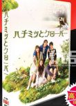 日劇《蜂蜜與四葉草》成海璃子 生田鬥真 6碟DVD