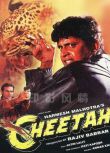 印度影星米特胡恩電影《獵豹降妖》Cheetah中文DVD