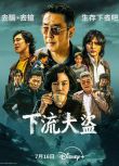 2025韓劇 下流大盜/鄉巴佬【TV全集+幕後花絮】 柳承龍/梁世宗 高清盒裝4碟