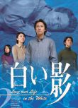 日劇《白影》高清版 中居正廣/竹內結子 6碟DVD