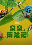 2024美國紀錄片《蟲蟲歷險記/蟲蟲危機/真實蟲蟲危機/A Real Bug's Life》英語中字 盒裝1碟