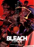 2022動畫 死神 千年血戰篇/BLEACH 千年血戰篇 全13集 日語中字 2碟