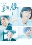 高分日本推理劇DVD：法醫朝顏/監察醫 朝顔 第1-2季+4部特別篇【上野樹里】日語中字 盒裝9碟