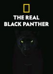 2020美國紀錄片《真黑豹無雙/The Real Black Panther》.英語中英雙字