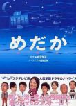 2004日劇 大眼女/ 菜鳥老師來報到 美村里江 日語中字 盒裝2碟