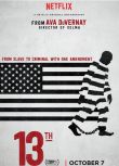 2016高分犯罪紀錄片《第十三修正案》梅麗娜·阿布杜拉.英語中英雙字