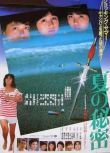 1982日本電影 夏天的秘密 北原佐和子/真鍋薰 日語中字 盒裝1碟