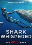 2025美國紀錄片《鯊語者/Shark Whisperer》Ocean Ramsey 英語中字 盒裝1碟