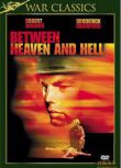 1956美國電影 紅色戰區/太平洋生死戰/天堂地獄之間 修復版 二戰/海戰/美日戰 DVD