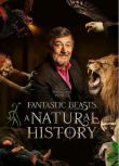 2022英國紀錄片《神奇動物：一段自然歷史》斯蒂芬·弗雷.英語中字