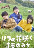 2025日劇SP 丁香花開的獸道/紫丁香花盛開的小徑 山田杏奈 日語中字 盒裝1碟