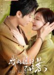 2025大陸劇《我的媳婦不好惹/小冤家》 李嘉銘/李萌萌 國語中字 盒裝4碟