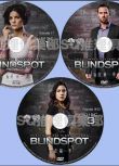 新美國犯罪劇DVD：盲點 1-5季 Blindspot 14碟