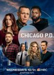 2020新美劇DVD：芝加哥警署 第八季/芝加哥警局 第8季 全16集 2碟