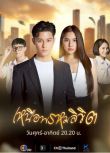 2025泰劇《超越命運/Nuer Prom Likit》娜妮達·緹查希 泰語中字 盒裝5碟