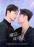 2025台劇《獨占接班人/占有後繼者》毛祁生/張家升 國語中字 盒裝2碟