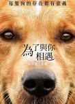 電影【為了與你相遇/一條狗的使命】DVD【英語中字】