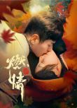 2025大陸劇《燃情》李九霖/朱近桐 國語中字 盒裝2碟