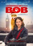 2020英國喜劇《鮑勃的聖誕禮物/街角再遇BOB/再見街貓BOB》盧克·崔德威.英語中文字幕