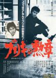 1981日本電影 銀白色的勛章 國語無字幕 DVD