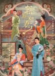 2025大陸劇 朝朝如念 何宣林/張庭睿 高清盒裝4碟