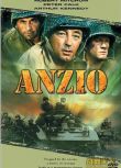 1968意大利電影 登陸安其奧 二戰/海戰/登陸戰/盟軍VS德國 國英語中英字 DVD
