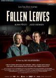 2023芬蘭電影《枯葉/Fallen Leaves》阿爾瑪·波斯蒂 芬蘭語中字 盒裝1碟