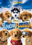 2008高分美國電影 雪地巴迪/雪地小英雄/Snow Buddies 英語中字 多米尼克·斯科特·凱伊 盒裝1碟