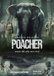 2024印度劇《偷獵者/Poacher》Nimisha Sajayan 英語中字 盒裝2碟