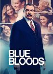 2021美劇 警察世家/警網急先鋒/警脈相承/Blue Bloods 第十二季 英語中字 4碟