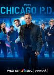 2025美劇《芝加哥警署/芝加哥警局 第十三季》傑森·貝蓋 英語中字 盒裝2碟