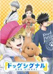 2023日本動畫《愛犬指令/Dog Signal》日語中字 盒裝2碟