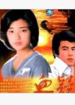 經典日劇《血疑》山口百惠/三浦友和 國語版無字幕 10碟DVD 