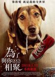 2019美國電影 一條狗的回家路/貝拉400哩的約定/為了與你相聚 國英語中字 盒裝1碟