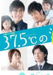 37.5℃的眼淚/37.5°C no Namida/The 37.5°C Tears