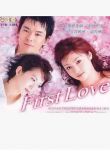 日劇《初戀 First Love》深田恭子/和久井映見 6DVD