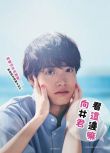 2023日劇《往這邊看 向井君/看向這邊啊向井君》日語中字 2碟