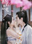 2023大陸劇 郎君不如意/太子妃升職記續集：公主上嫁記 吳宣儀/陳哲遠 國語中字 盒裝6碟